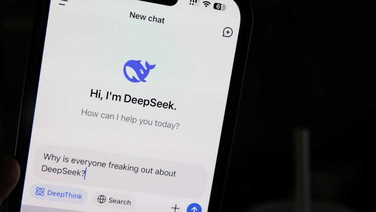 DeepSeek AI Privacy Issues