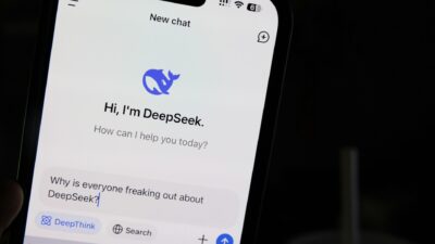 DeepSeek AI Privacy Issues